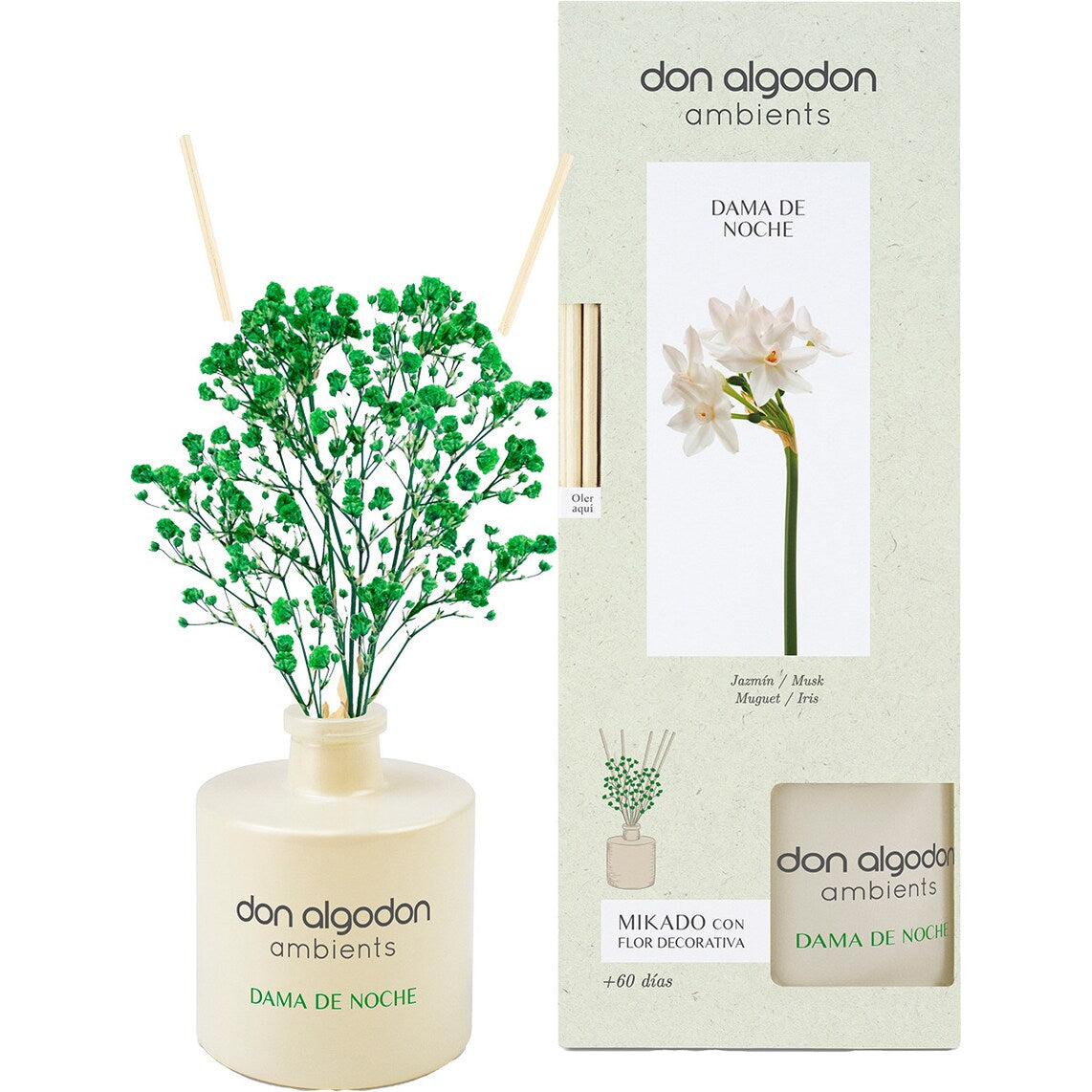 Dama de Noche Don Algodón