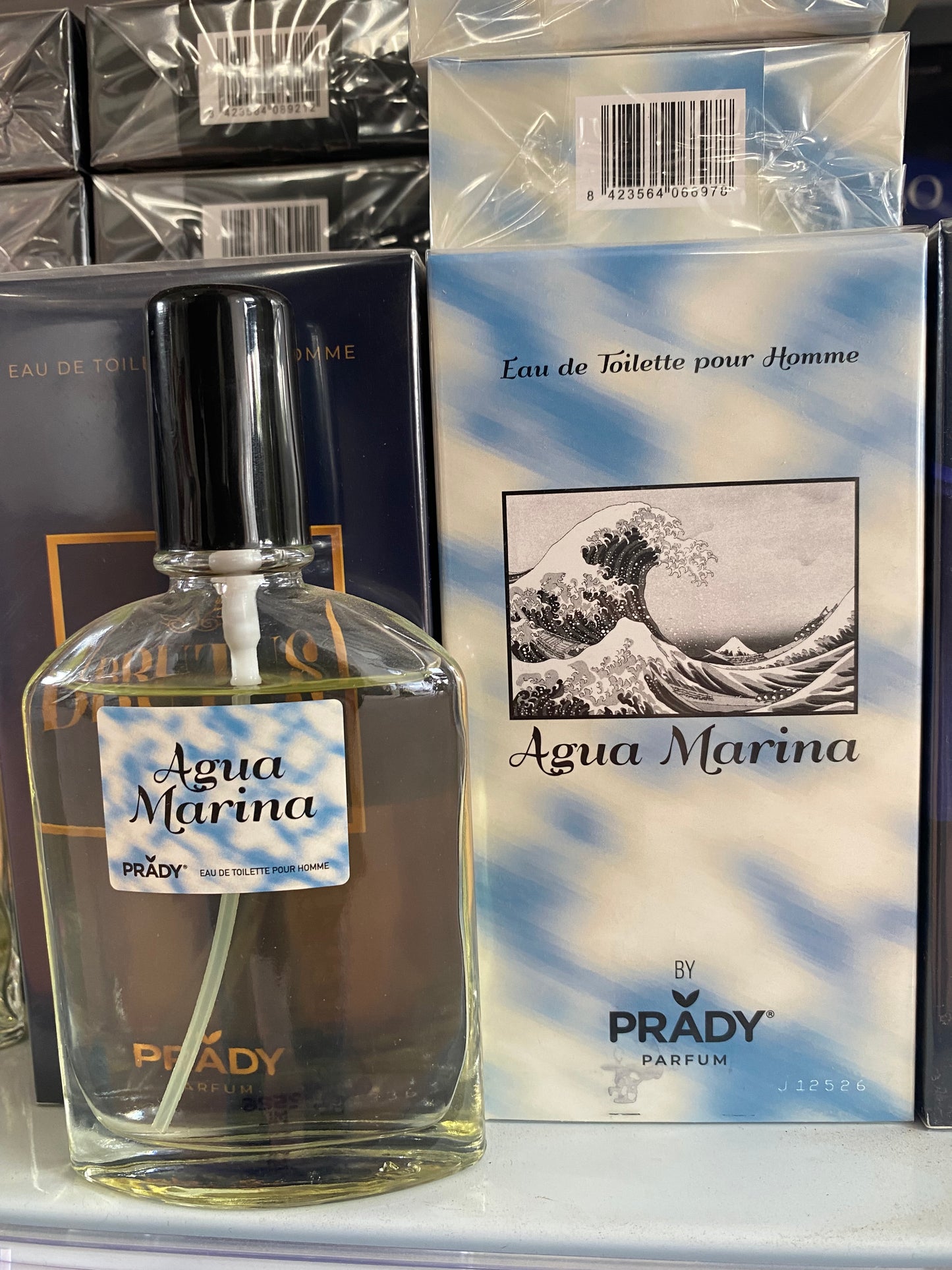 COLONIA AGUA MARINA HOME