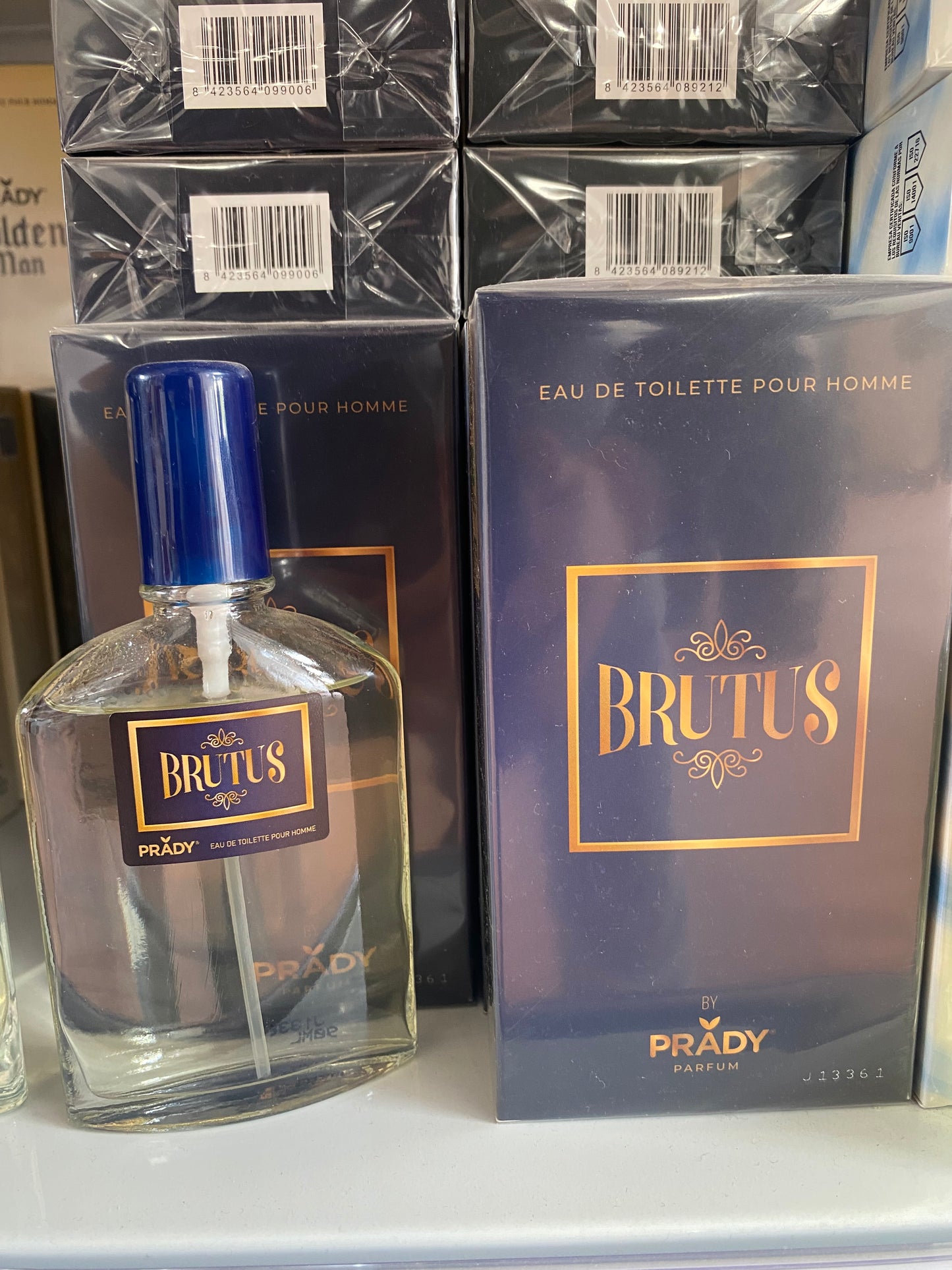 COLONIA BRUTUS HOMME